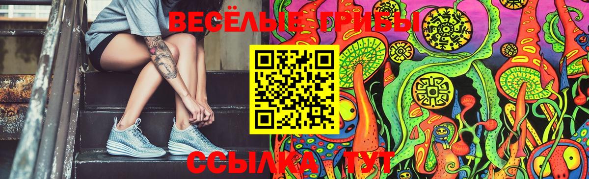 Галлюциногенные грибы Psilocybine cubensis  Вход с VPN  Псилоцибиновые грибы Psilocybe  Великий Устюг 